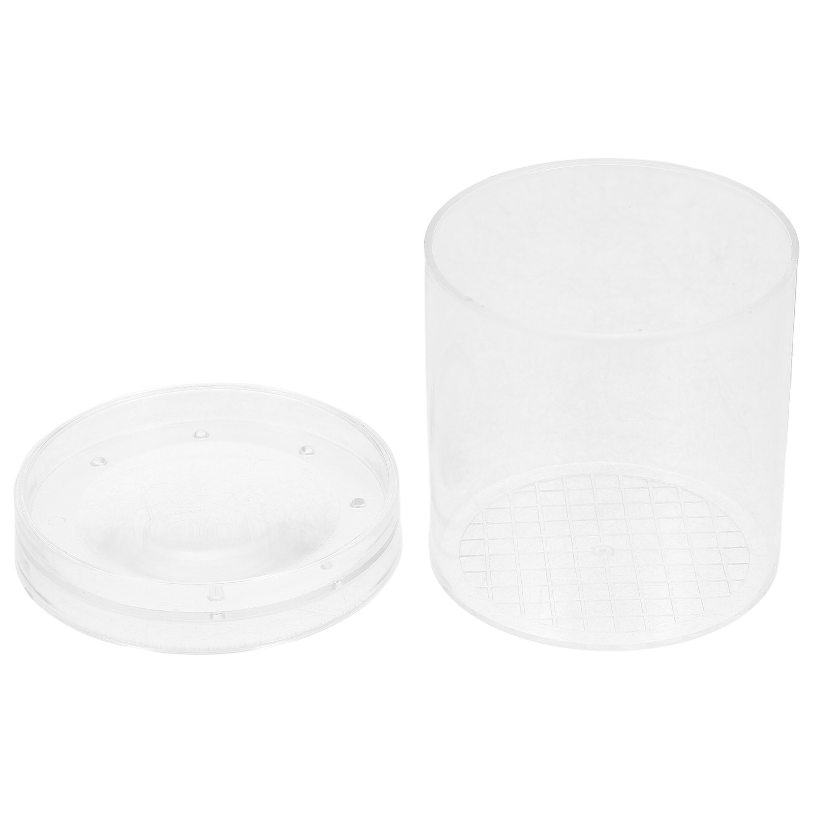 Science Toys - Pudełko do obserwacji owadów z 3-krotnym