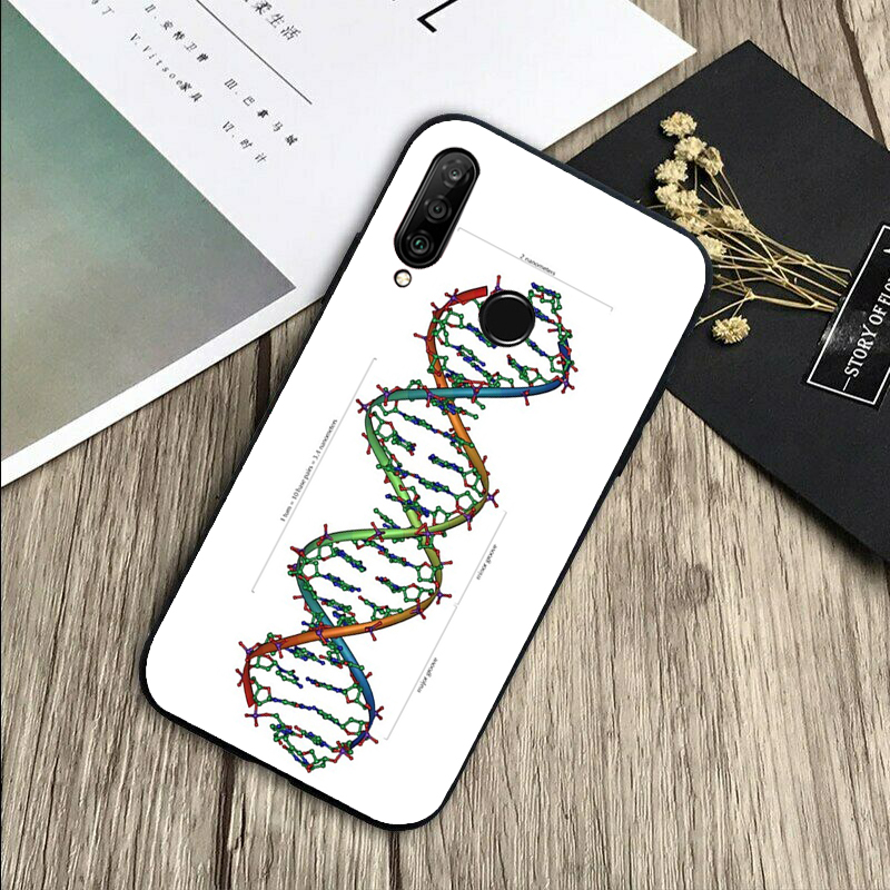 Ilustracja naukowa retro DNA n – Science Nova recenzja i cena