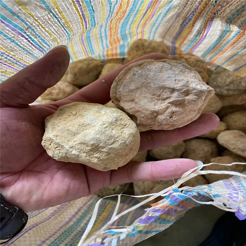 Złam Twój Własny Geodes Natura – Geode Crystal Break recenzja i cena